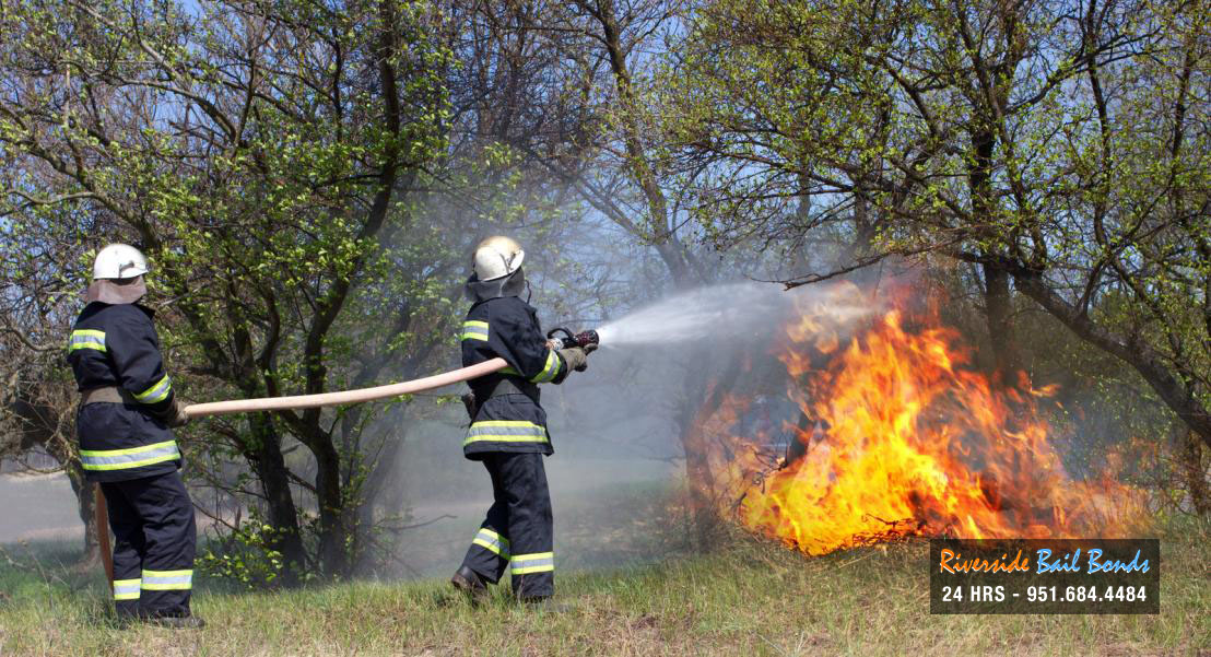 The Dangers of Wildfires