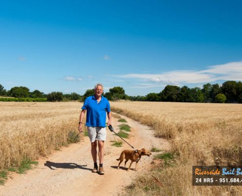 Be Careful Where You Walk Your Dog This Summer