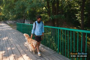 A Dog Bite Could Have Legal Ramifications